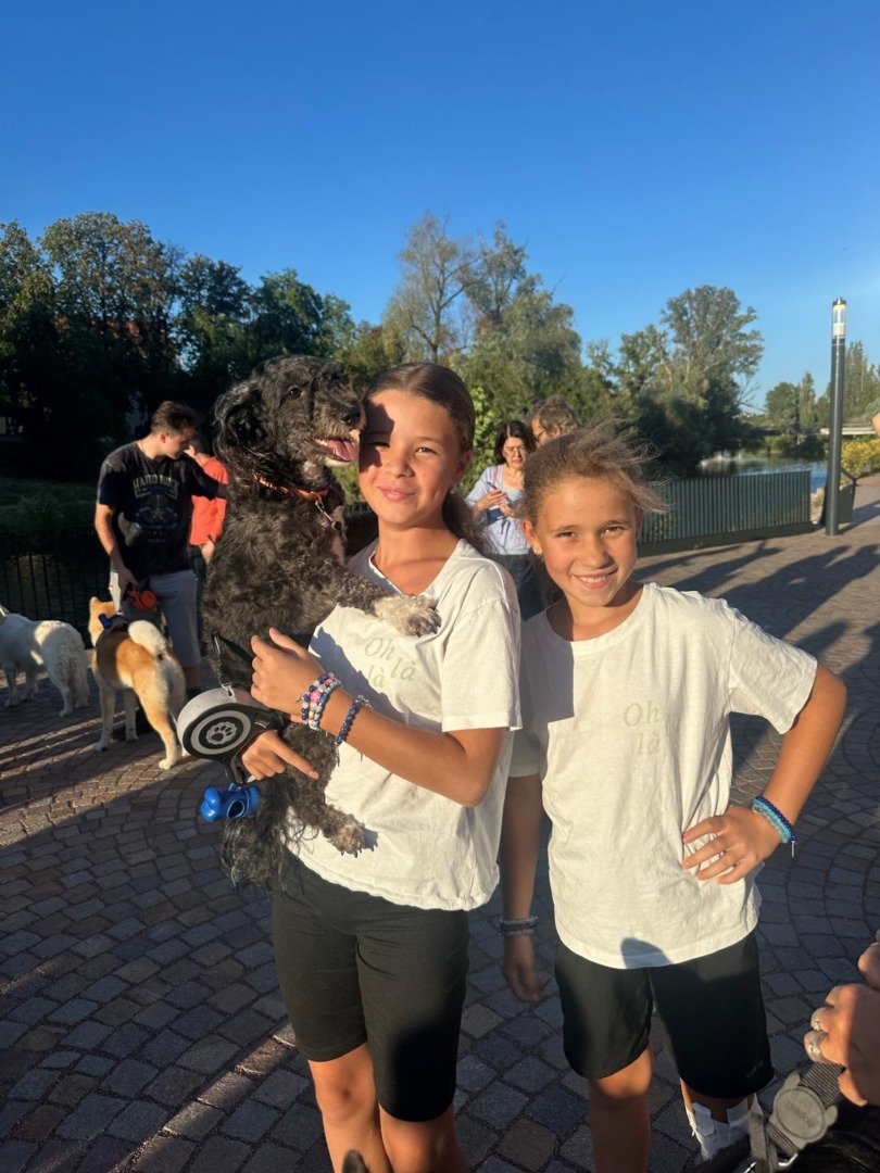 181b5ab5-3b2a-434e-b19d-b3218ef4ca29