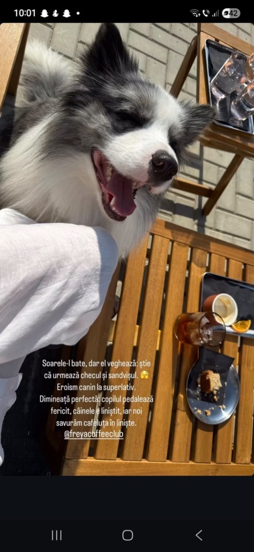 263b0ca9-6cd2-4e93-a70e-70da6b57a435