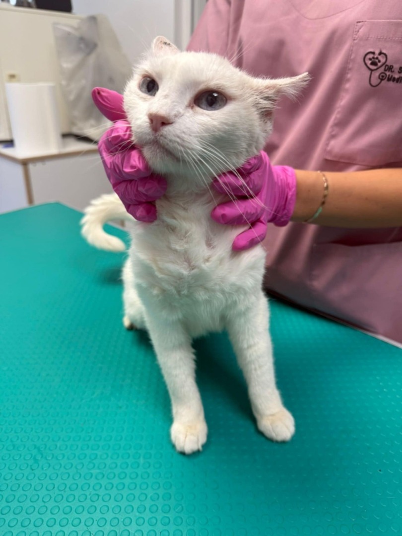 2dce728c-b8ad-435f-a3c3-9ef814fa3943