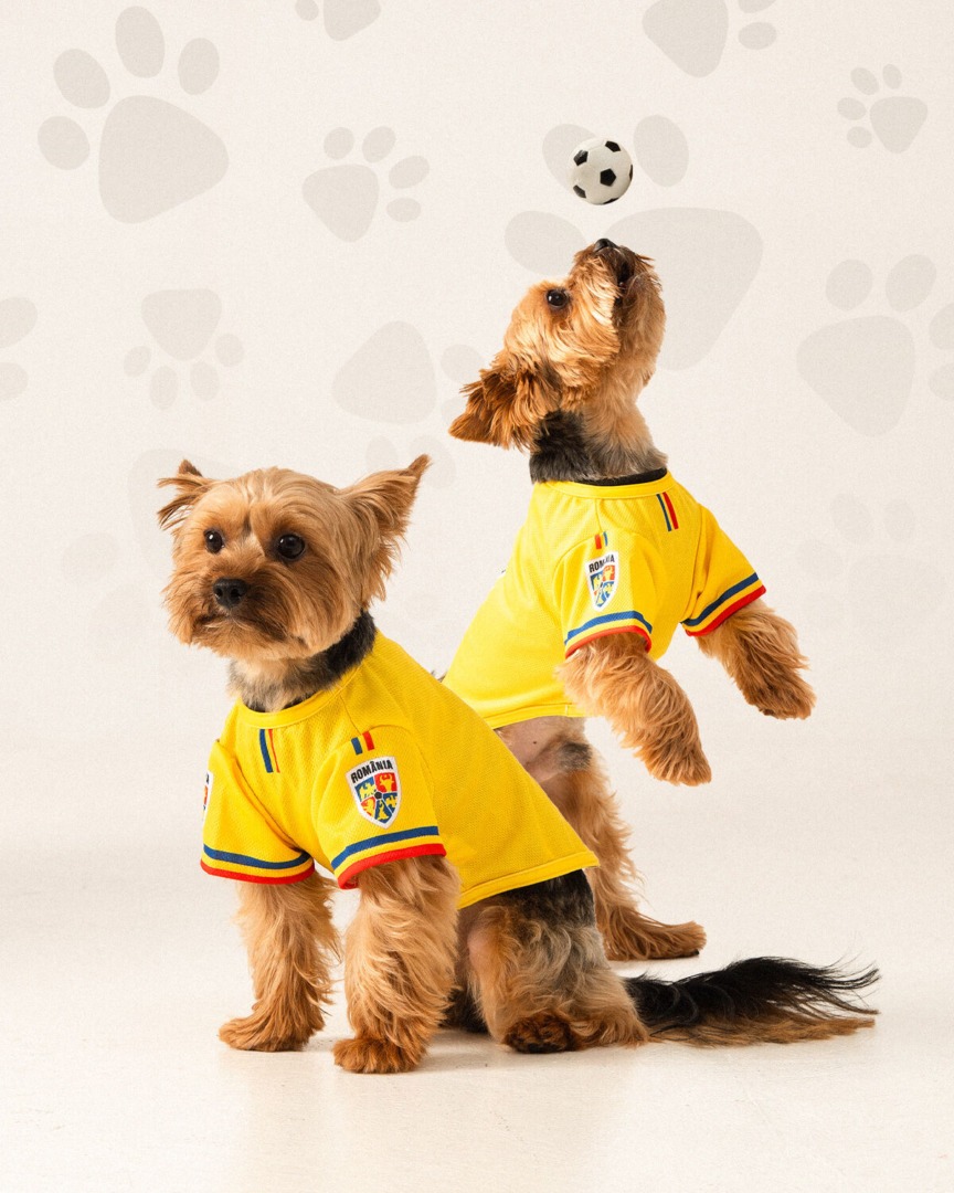 4-Yorkshire-tricou-EN