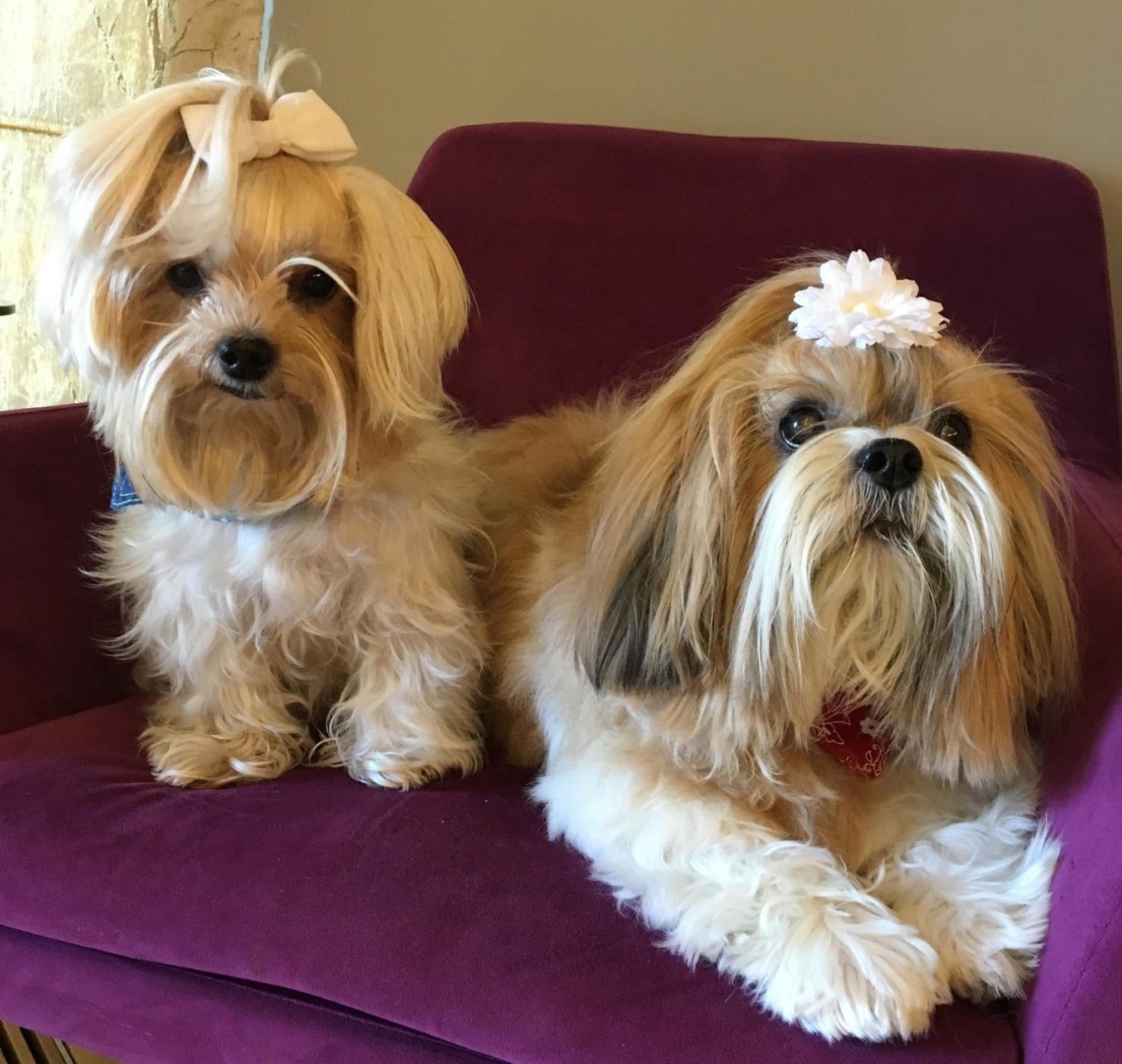 4b521c52-6371-46ec-82d0-3e47dc8117e0