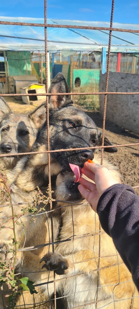 511298315_10235928084958945_8827666309343045089_n