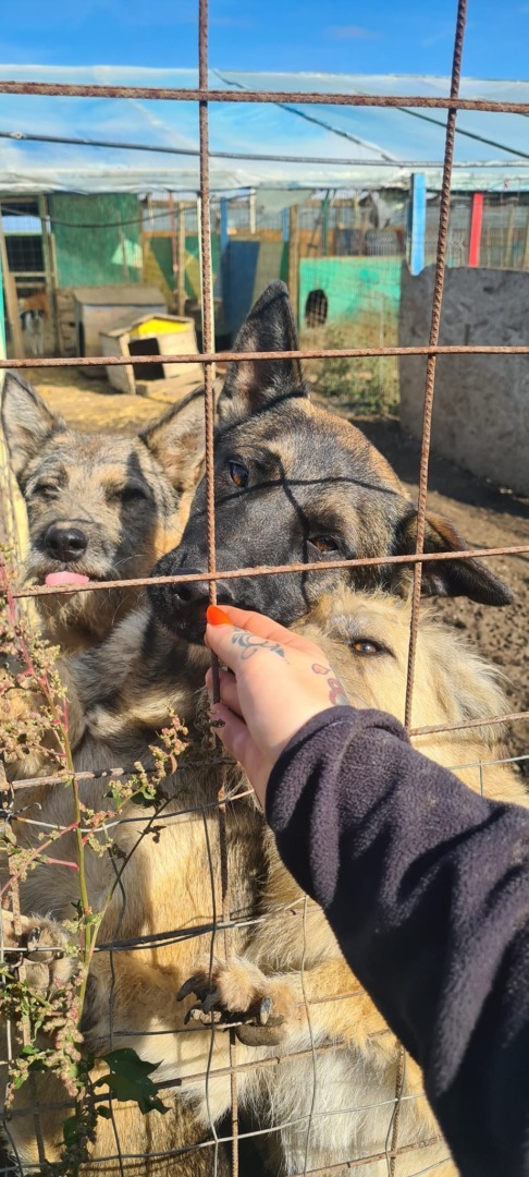 512671607_10235928086358980_5009832503006942617_n