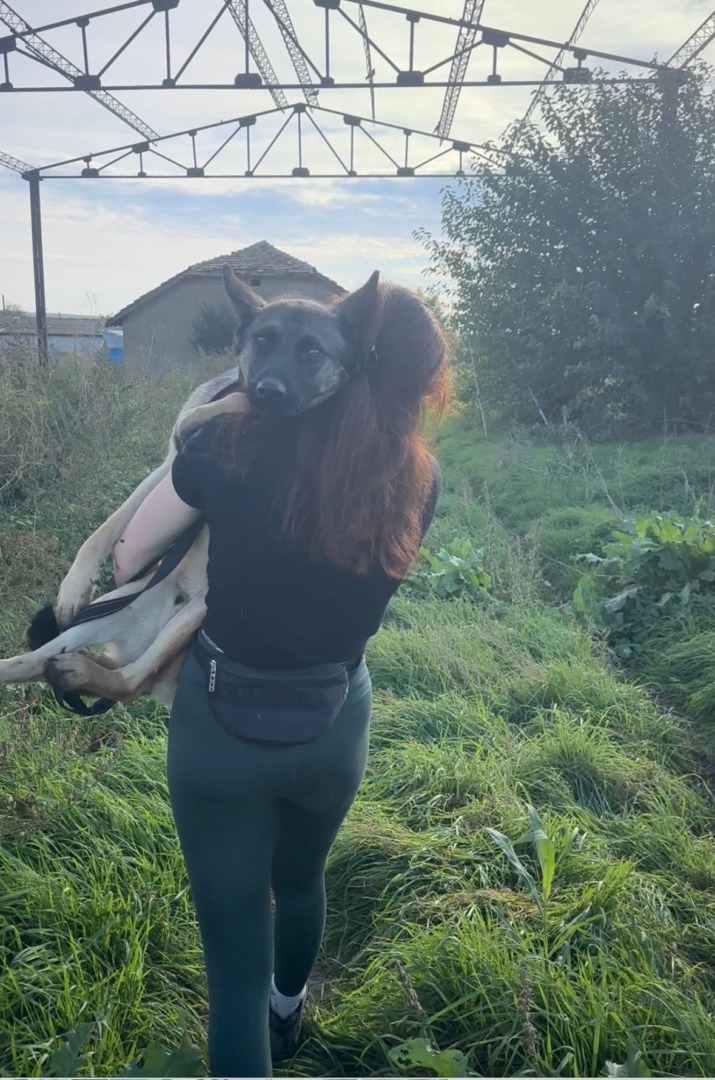 513753598_10235928083678913_6706351126702295058_n