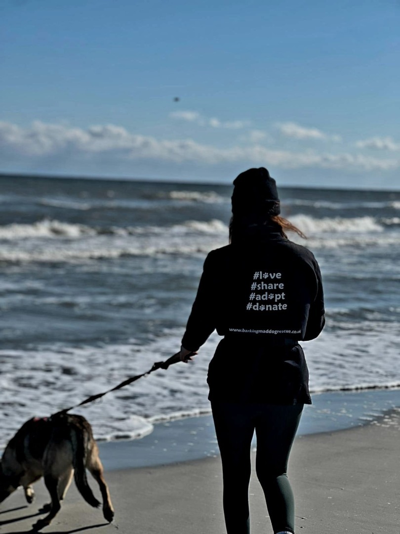 514259878_10235964139940297_6674807002629145917_n