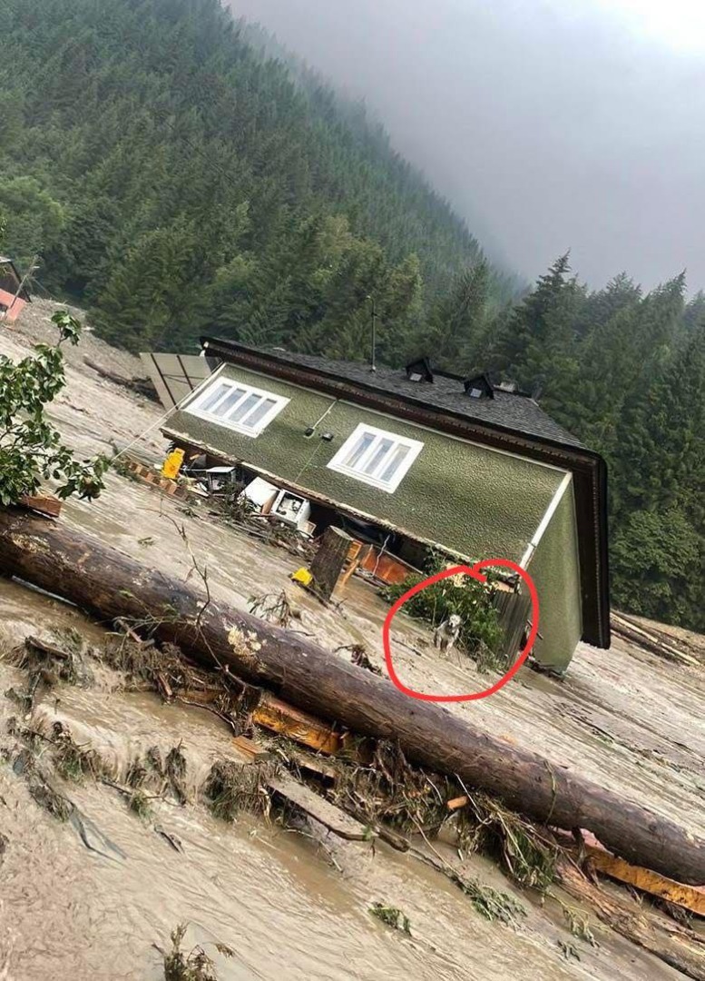 515436270_1054905603479047_3065357472306829372_n