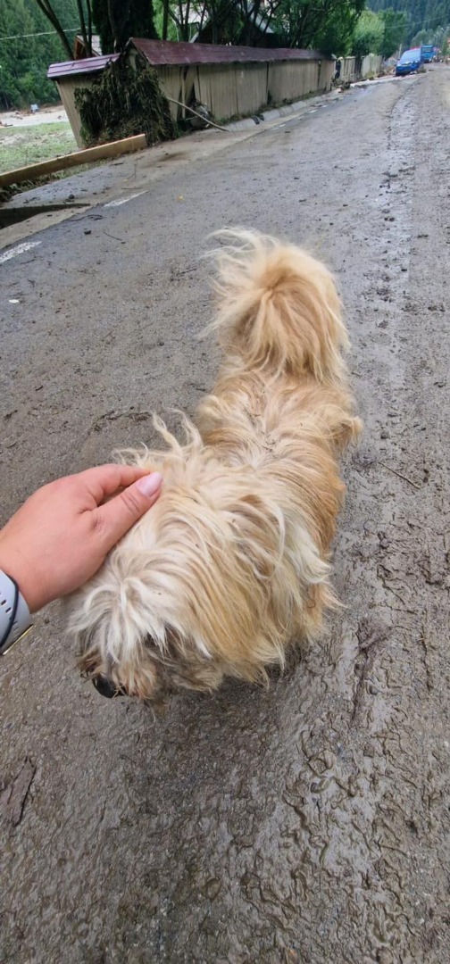 515438118_1054905596812381_4184468619005343238_n