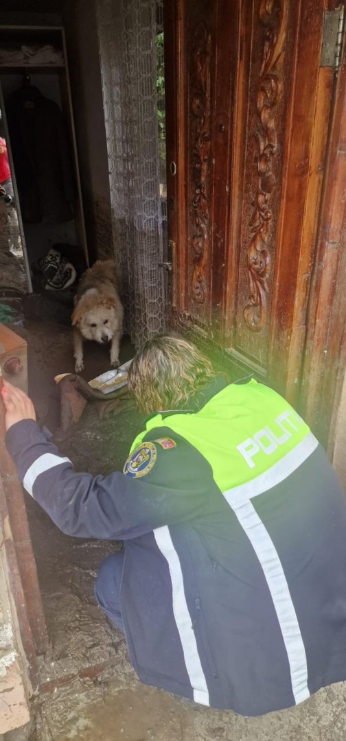 518367083_1054905600145714_1638437078265077265_n