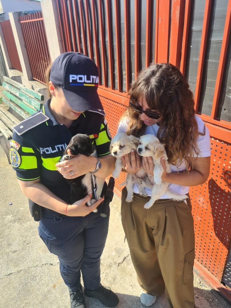 527130842_771679441895350_2636469032070819206_n