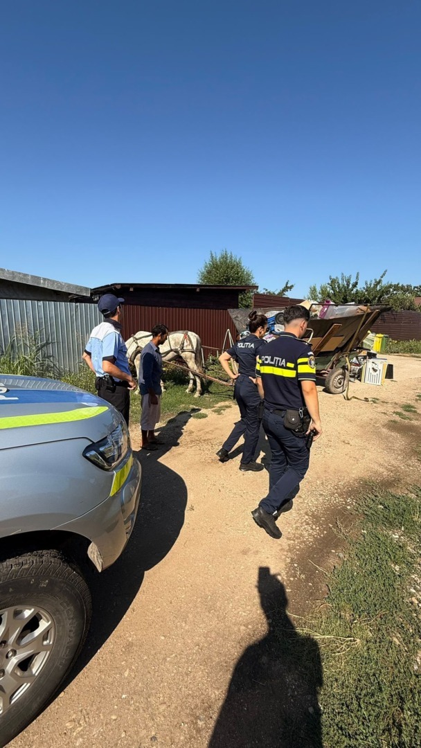 527234446_771679368562024_4242667854468256387_n