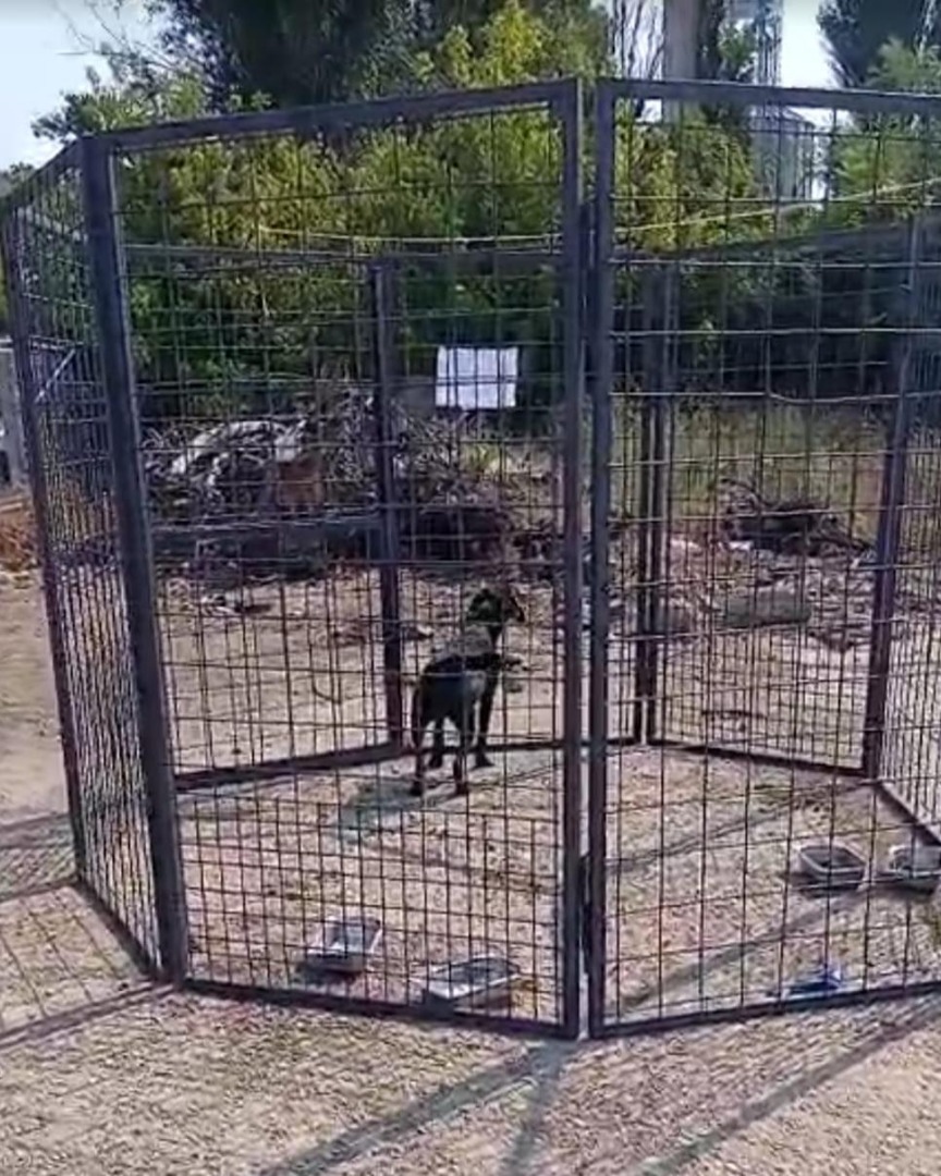 527376991_1099244545694015_2743257852916782884_n