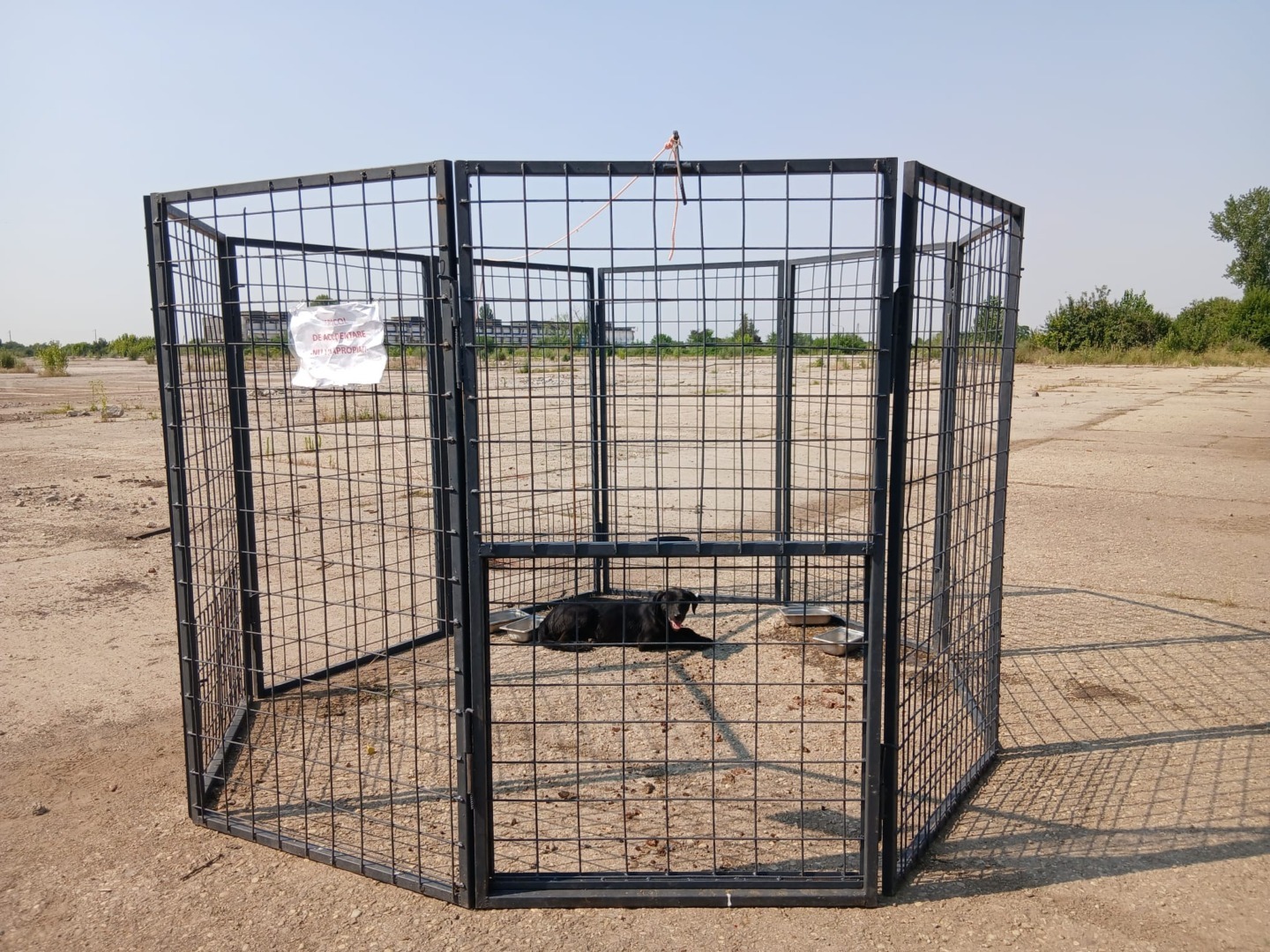 527606088_1099243392360797_8600527513493211670_n