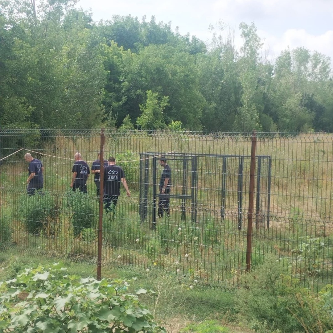 527664802_1099244135694056_8681492511632498133_n