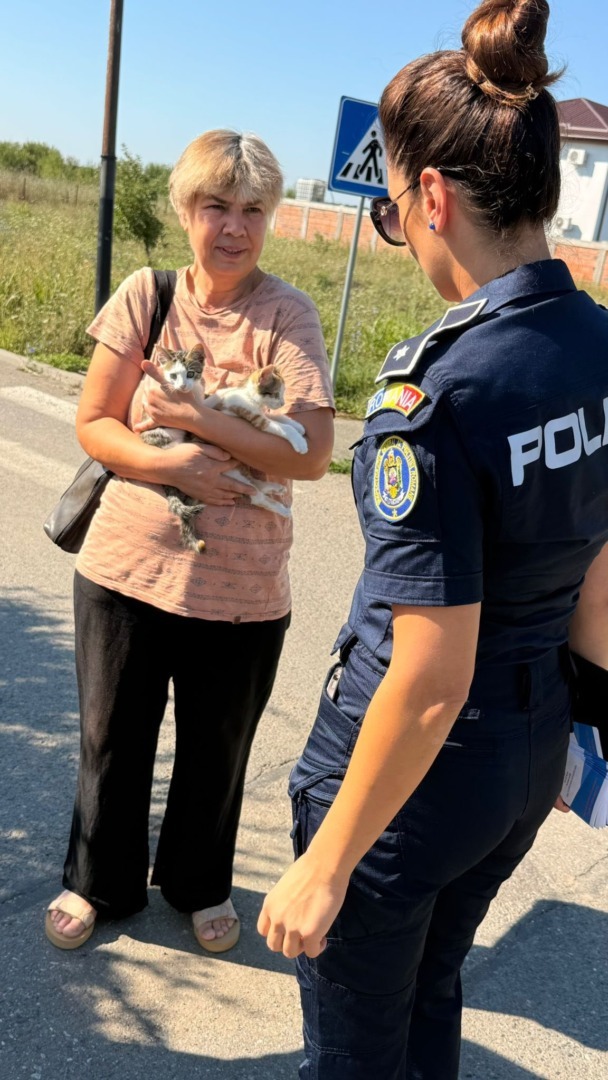 527681581_771679328562028_1451771531592833918_n