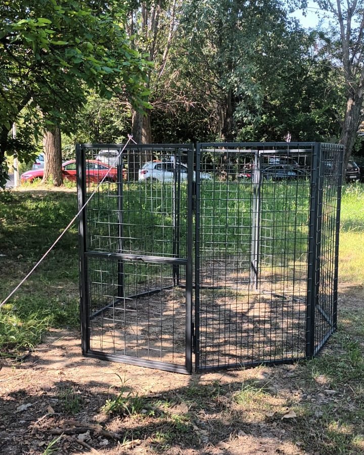 527821588_1099244829027320_4088167161826185417_n