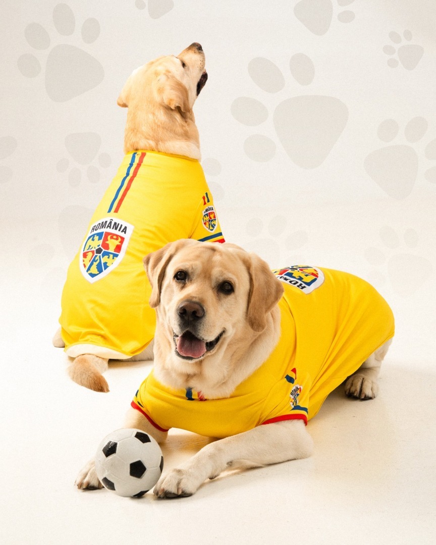 528566705_1603384390962386_4092612428529299275_n