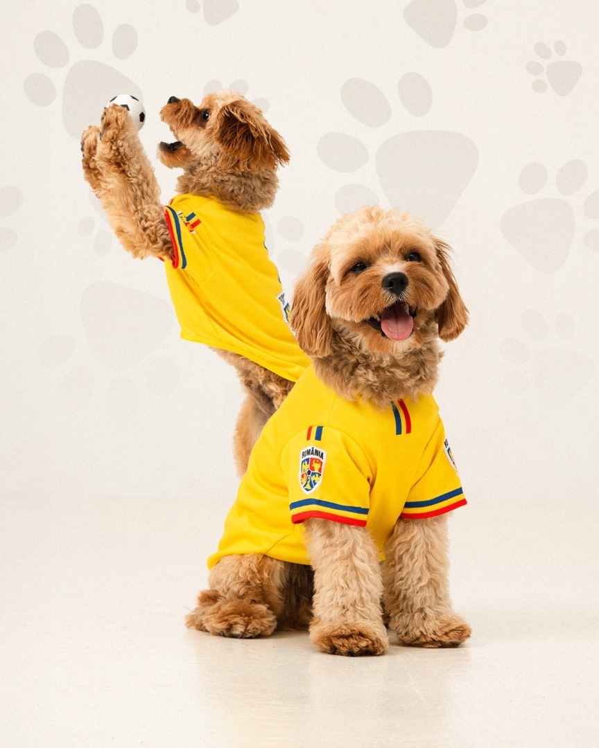 528582722_1603384427629049_3510985054883645955_n