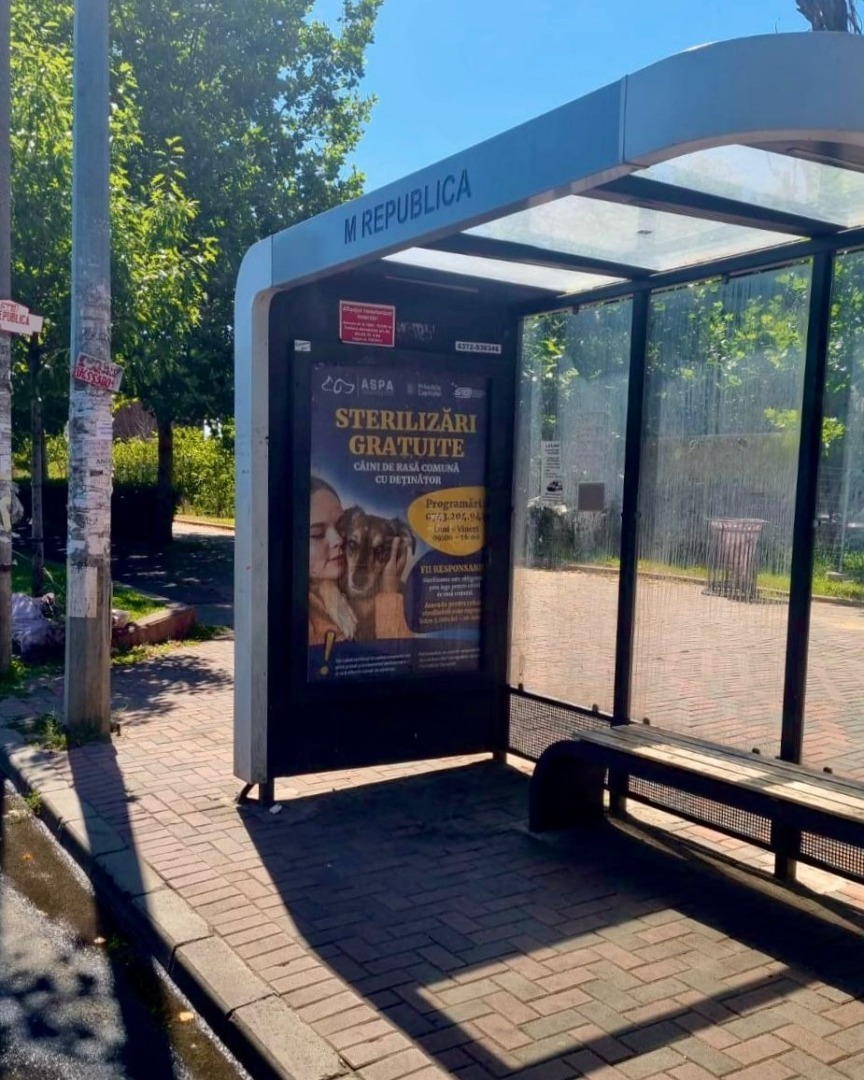 530615525_1105239971761139_5600934275127354356_n