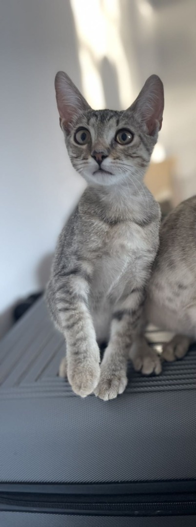 530679707_24310002775334684_6840479151404530204_n