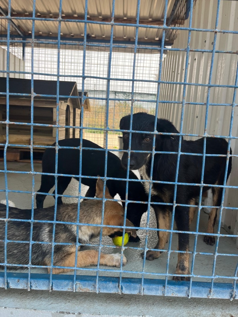 530703516_1105267595091710_3245916310384872680_n