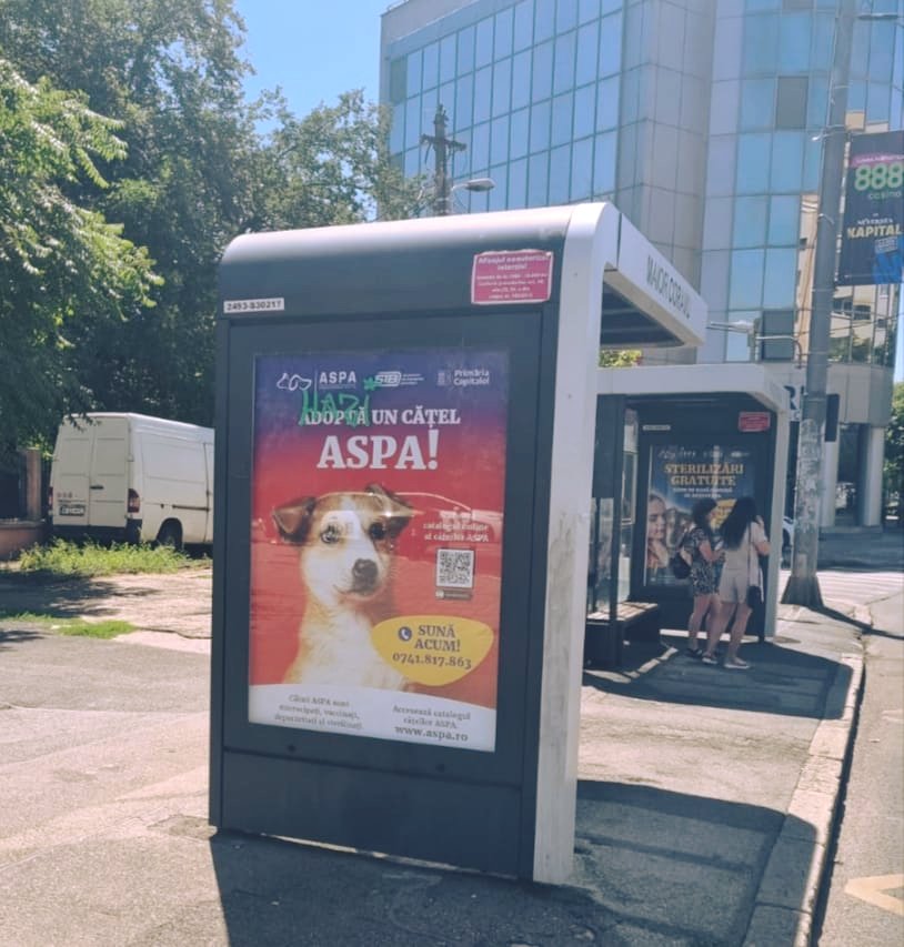 531046466_1105242758427527_3956391577806404007_n