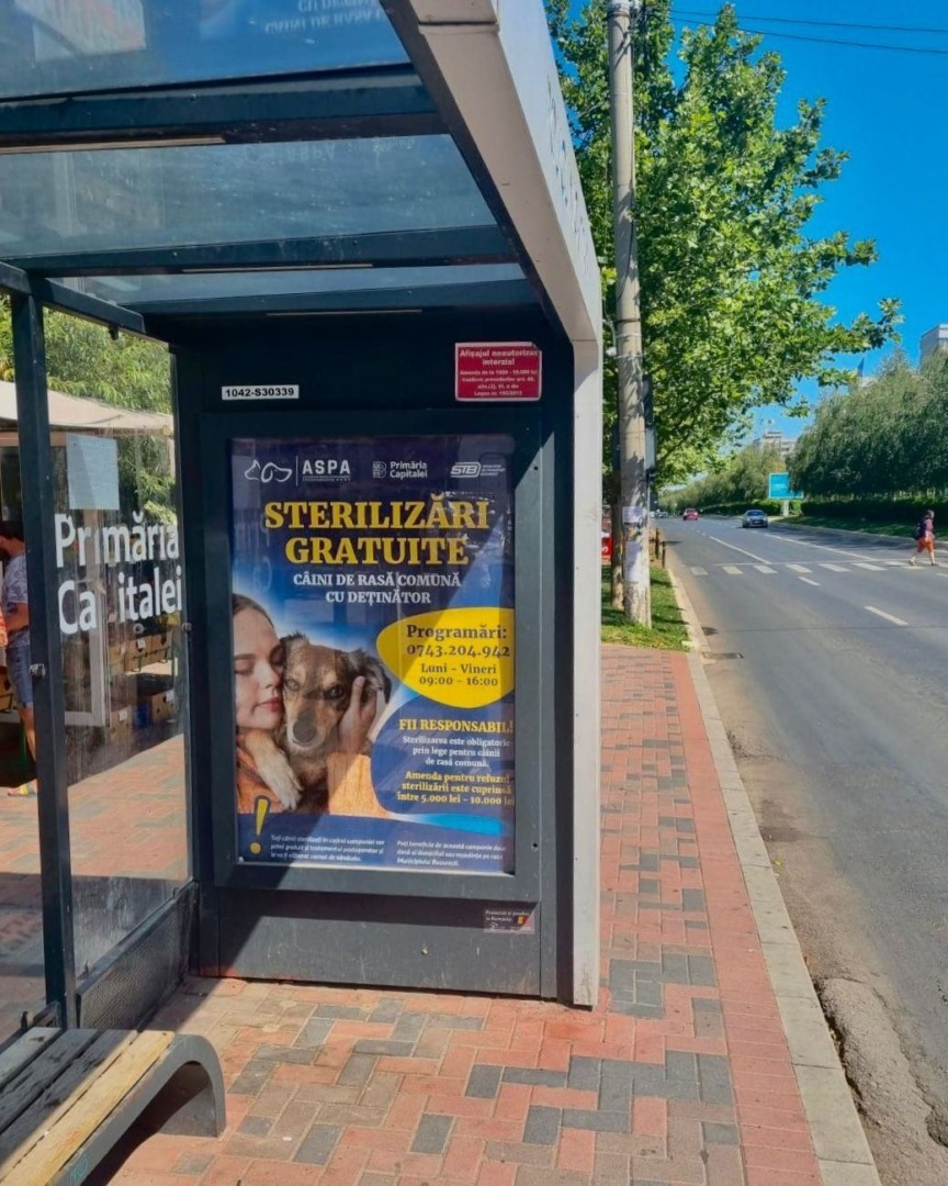 531246584_1105244308427372_2935328788104717304_n