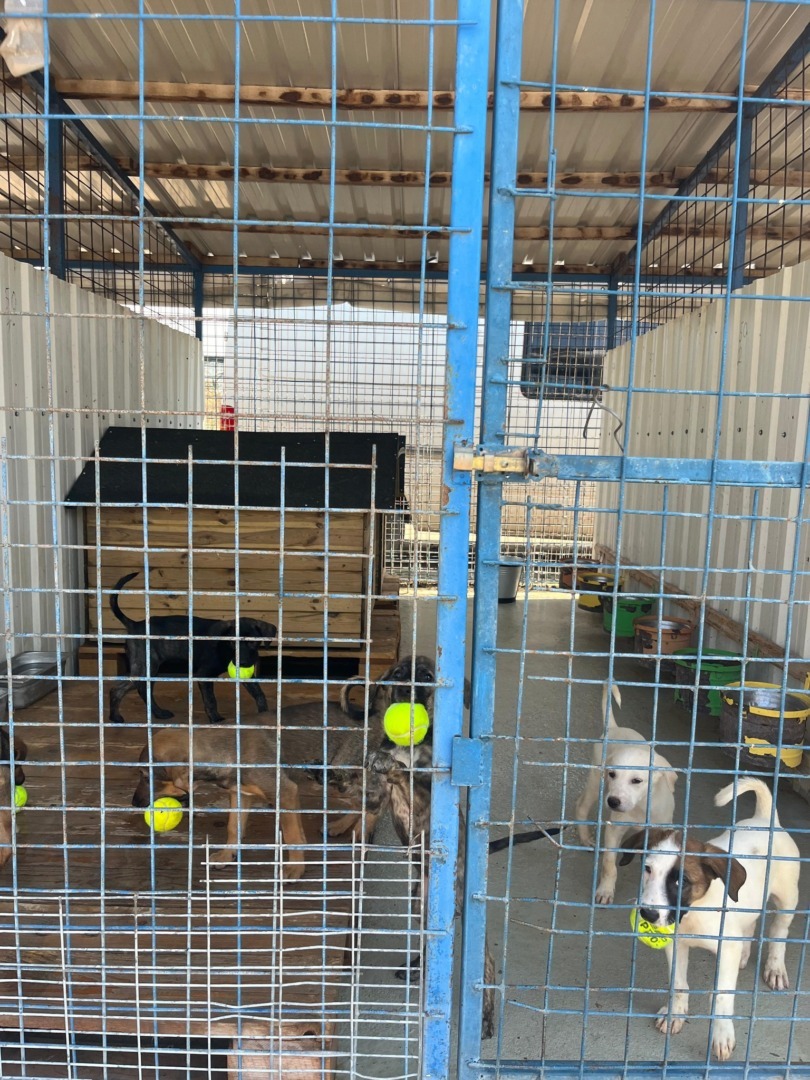 531256567_1105267645091705_1859392726104970043_n