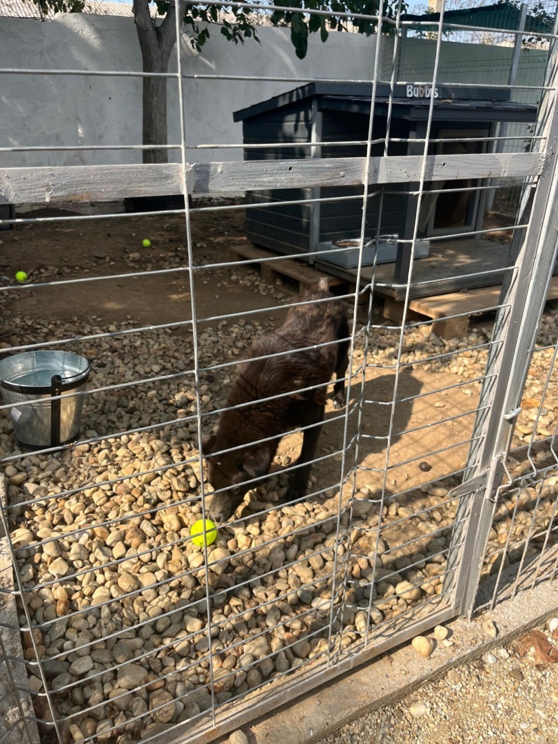 531431569_1105267635091706_4795393870178618929_n