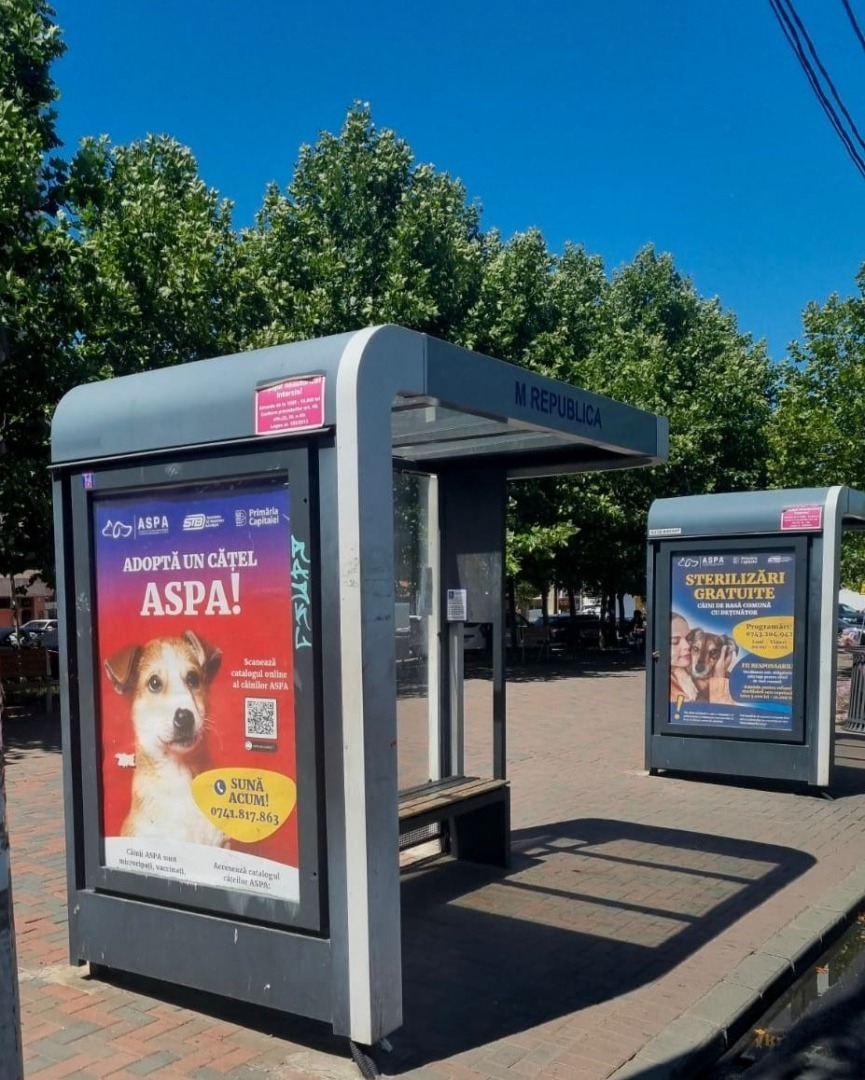 531633377_1105239948427808_677673130075516491_n