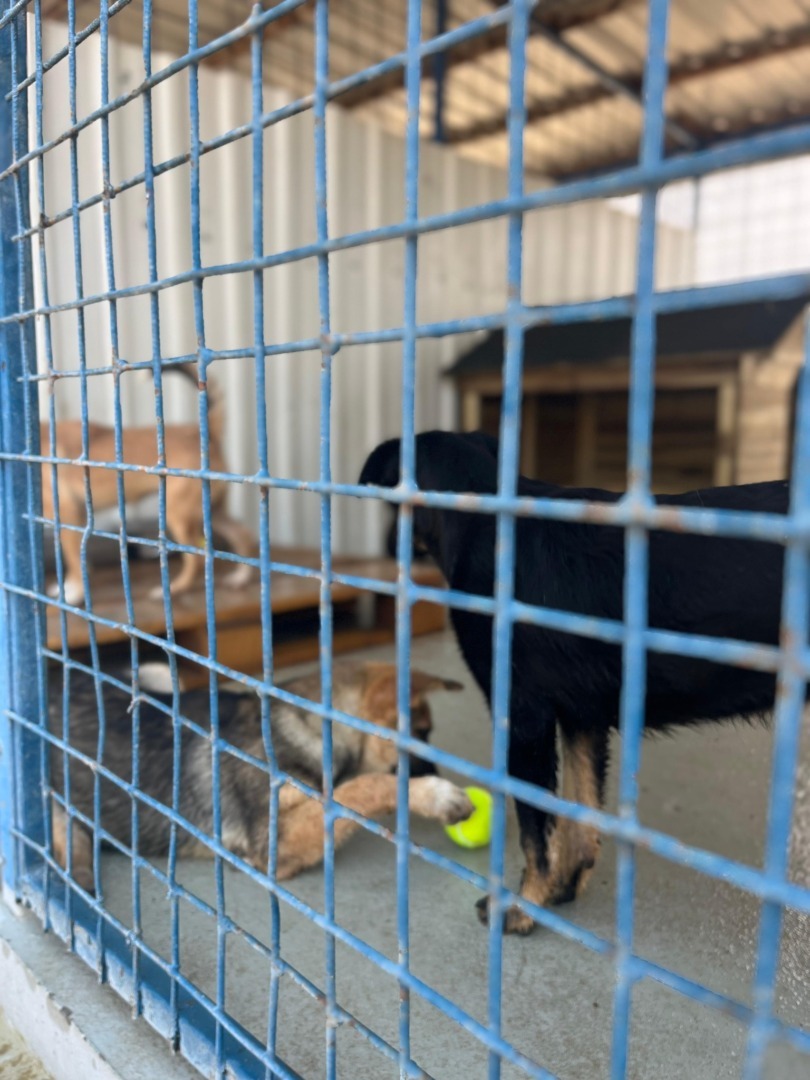 531806877_1105267488425054_1448266282028684412_n