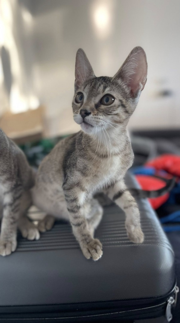 531824314_24310014255333536_2093431456717684161_n