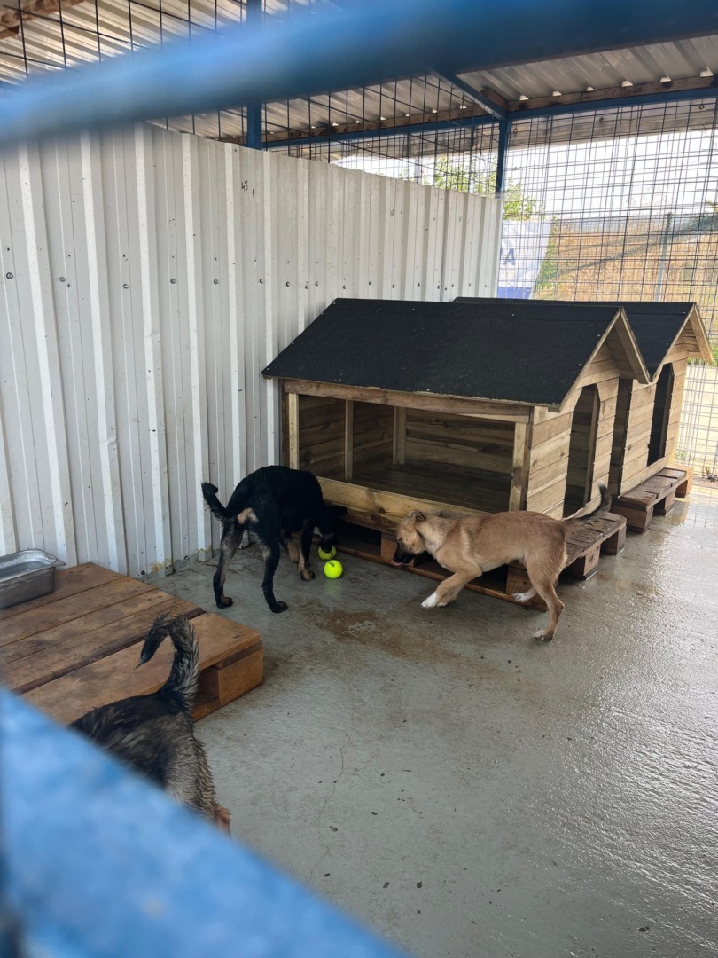 531833267_1105267585091711_4760631069886321505_n