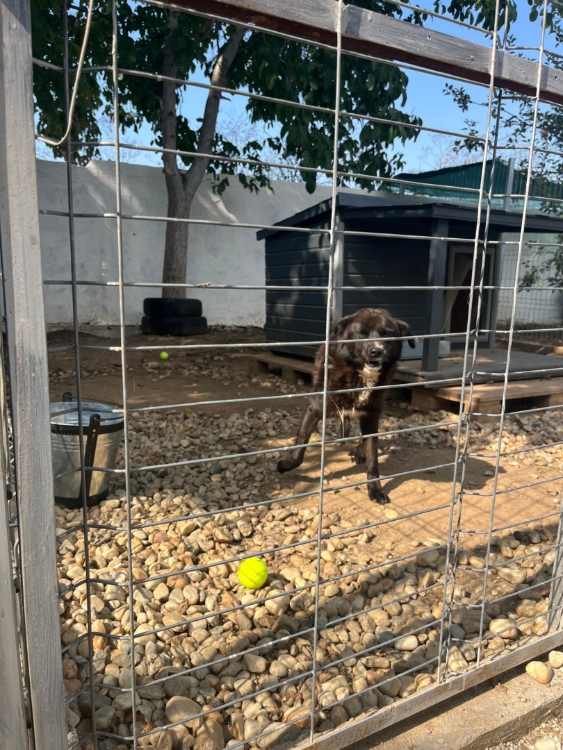 531857670_1105267541758382_1329787178422447657_n