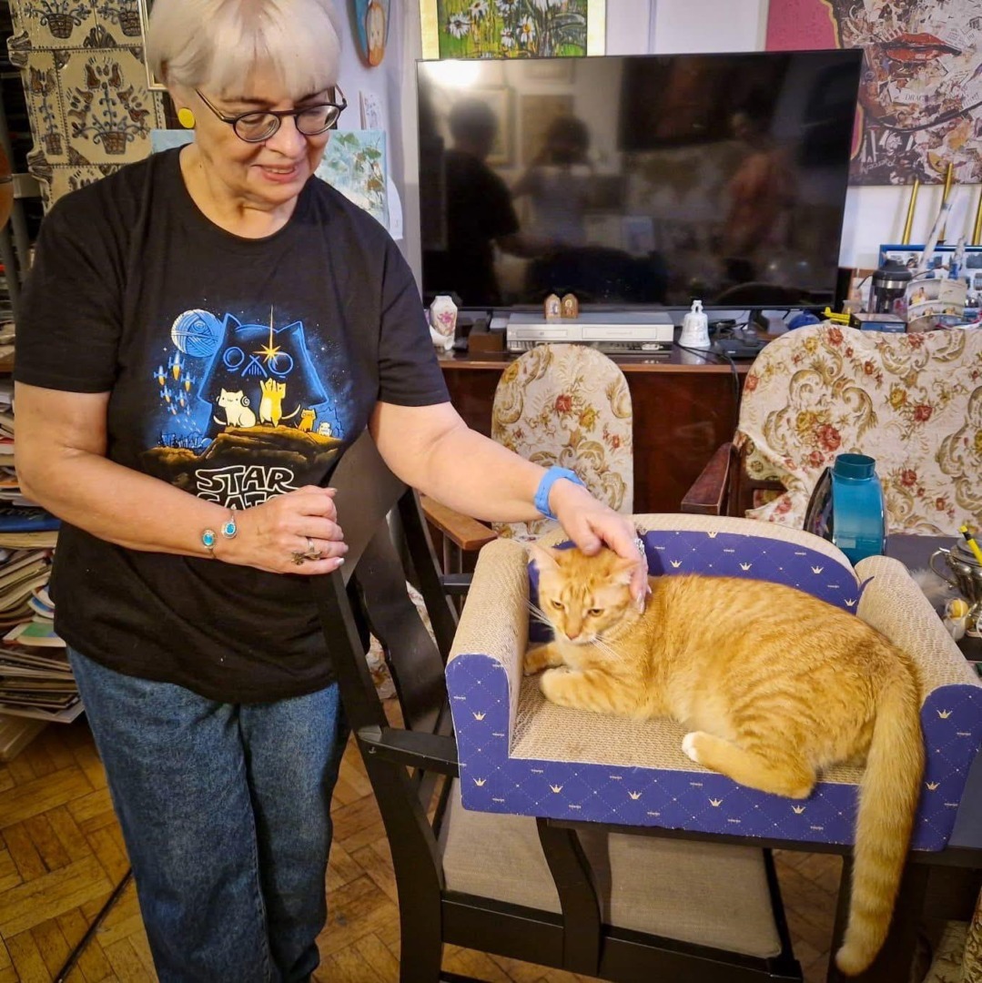 5318e564-a892-477b-b19f-f4d7ca583fab