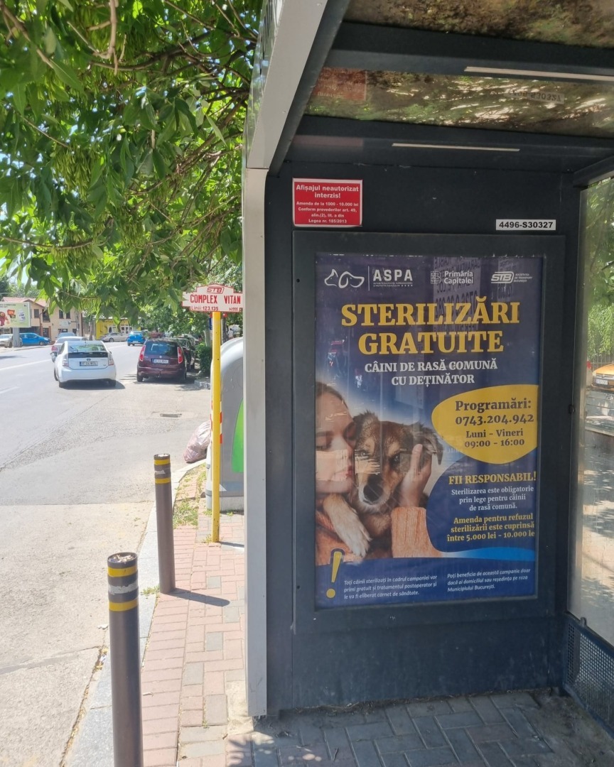 532236769_1105244428427360_3631590061534989543_n