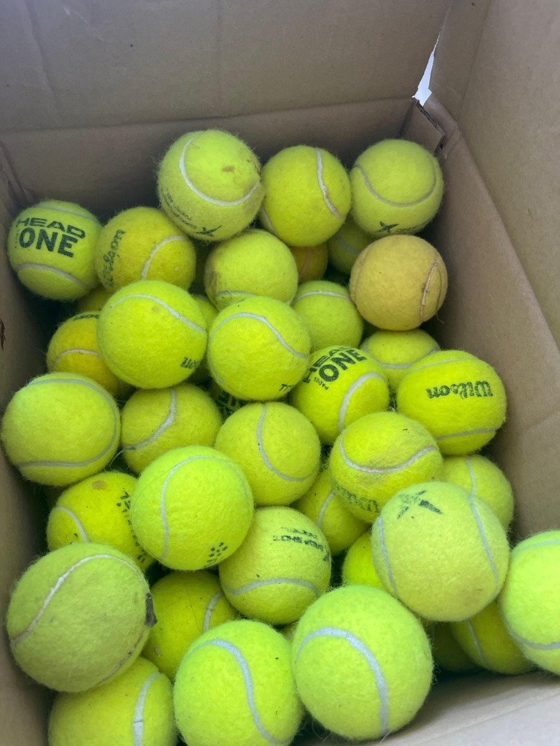 532237258_1105267515091718_5172919074721667736_n