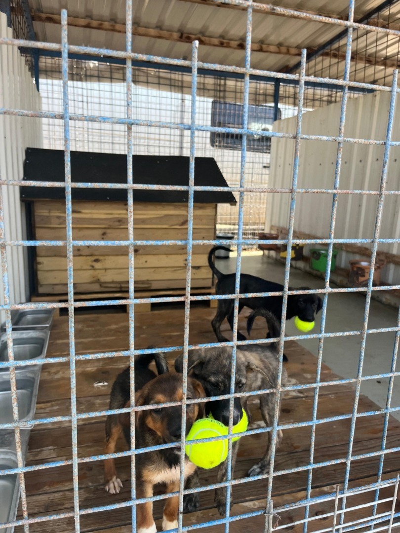 532253735_1105267818425021_3084287727710925989_n