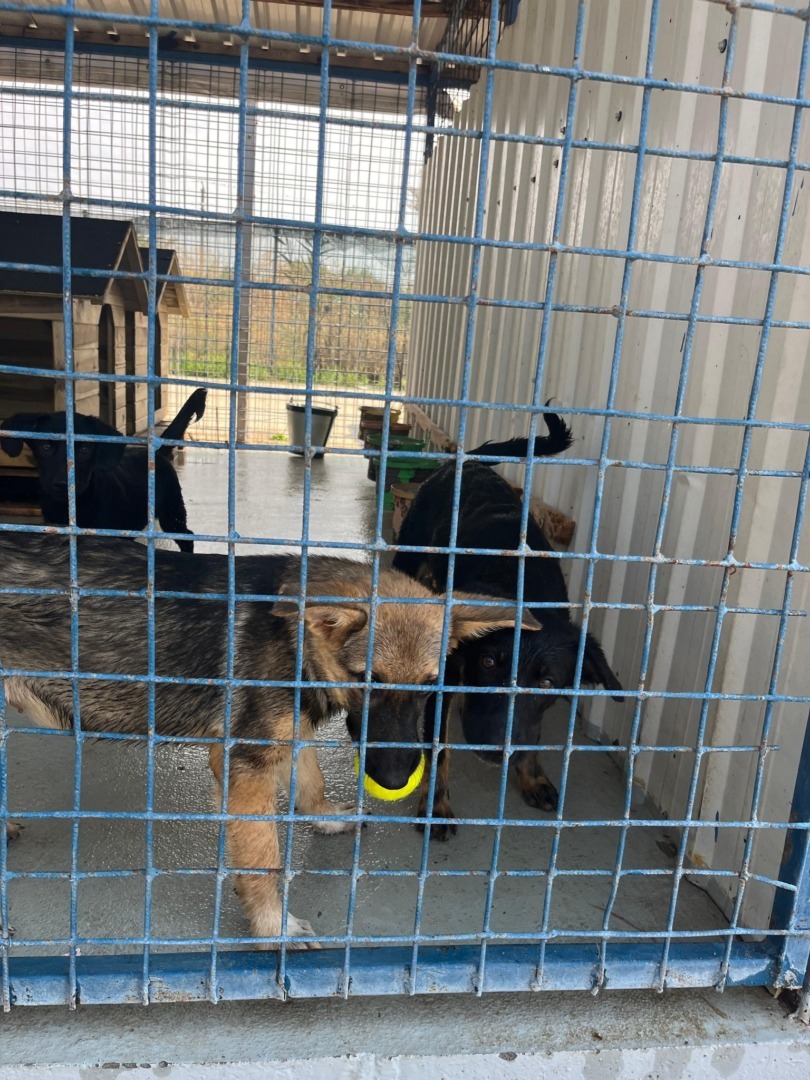 532265650_1105267598425043_1496580588396278914_n