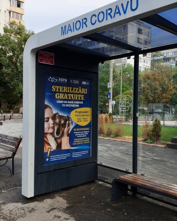 533080865_1105241388427664_6226547625155842448_n