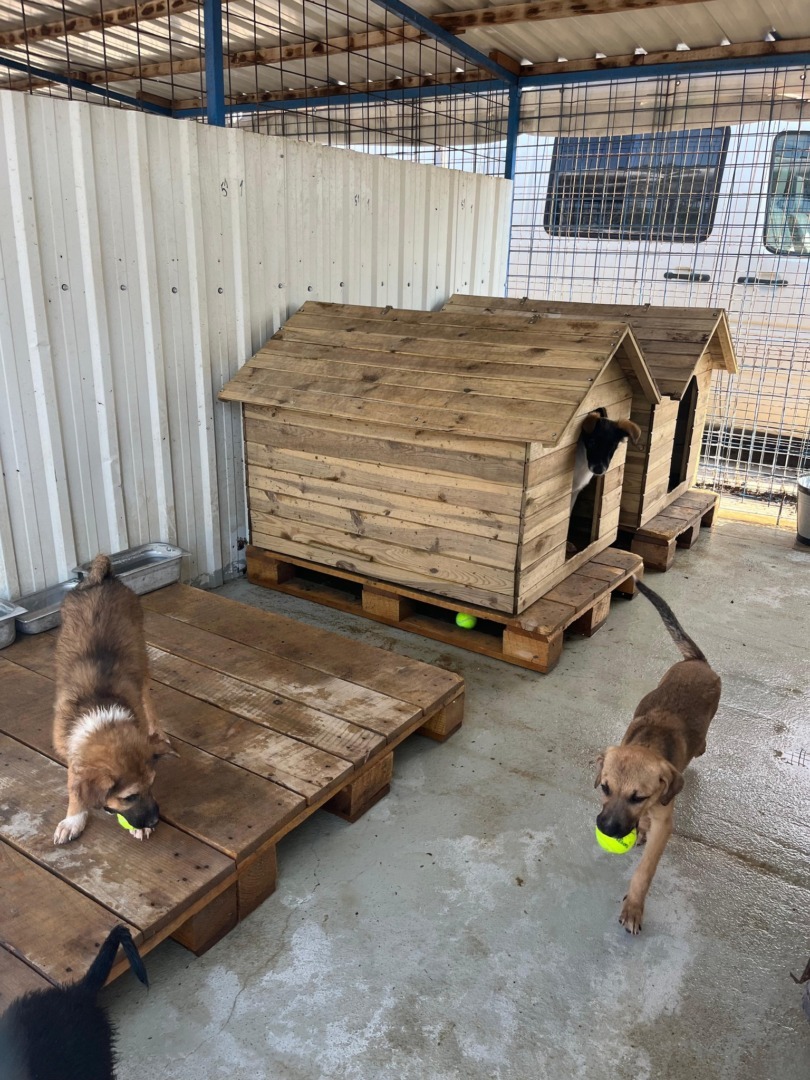 533178939_1105267775091692_8704616539154162503_n