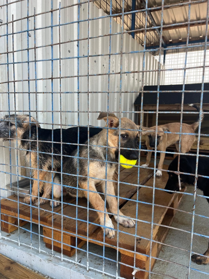 533481060_1105267821758354_1259323649602478678_n