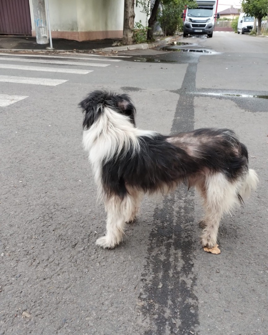 536243128_1111058914512578_1105083395188695333_n