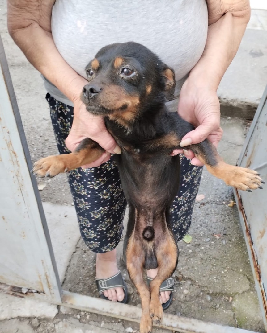 536269985_1111058791179257_7883428053349930374_n