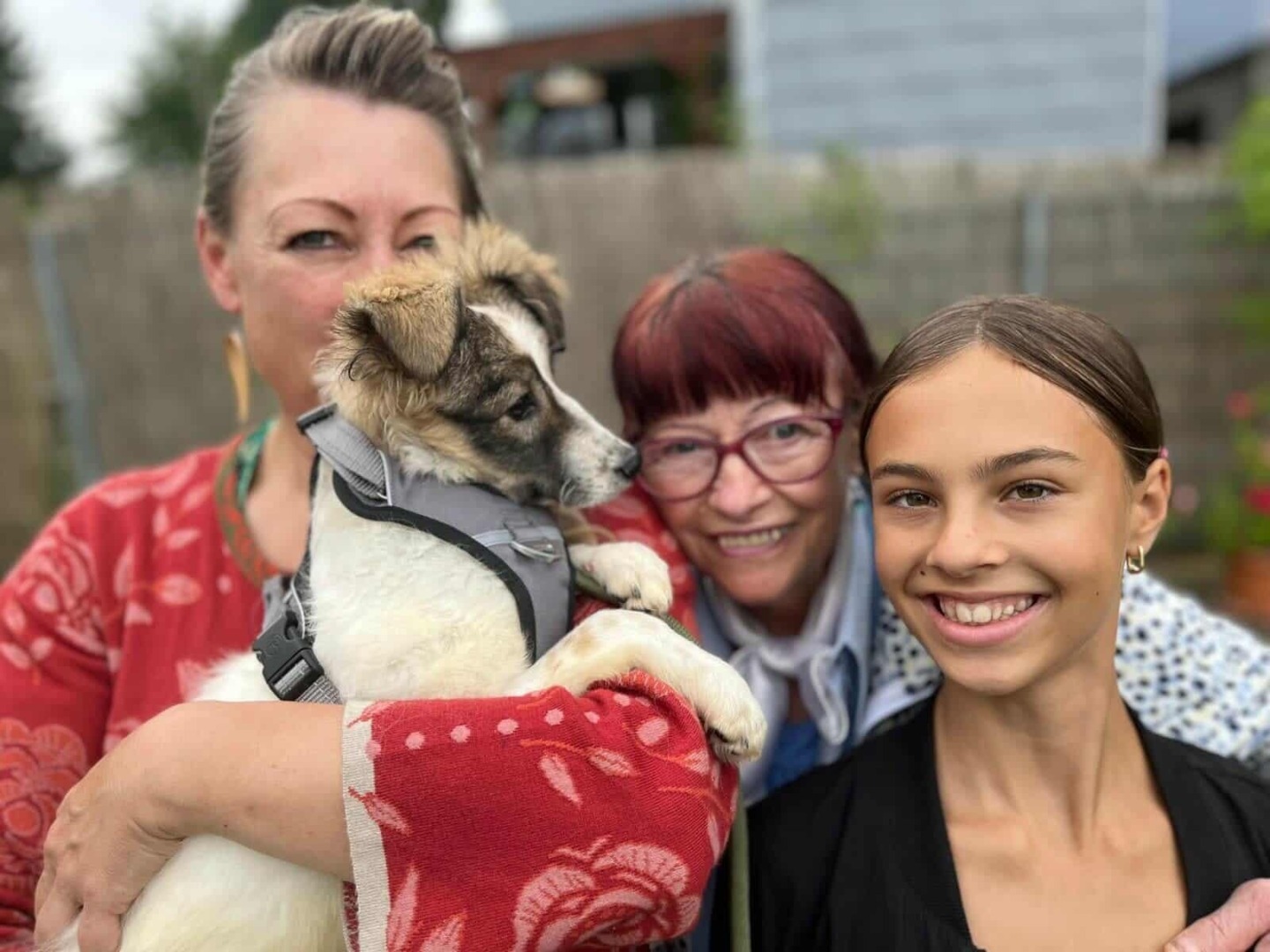 Cățelușa oarbă și familia sa