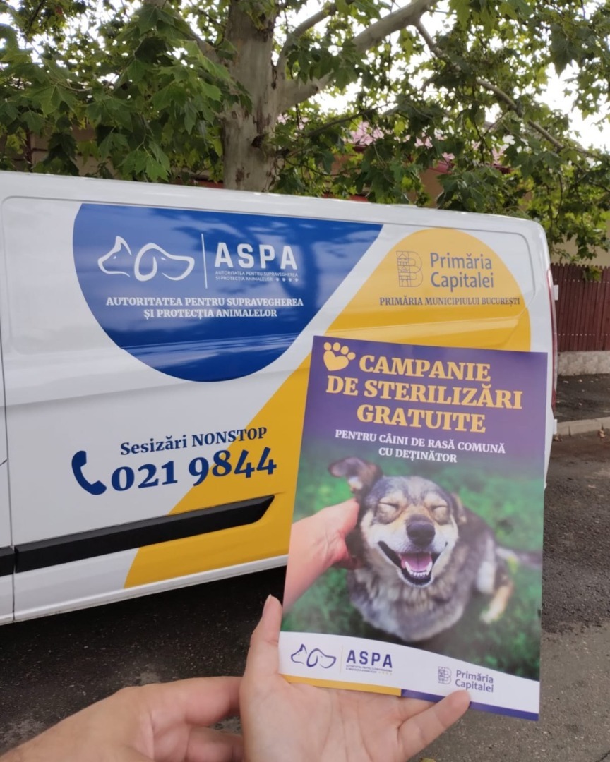 536281668_1111058884512581_6816214145122726953_n