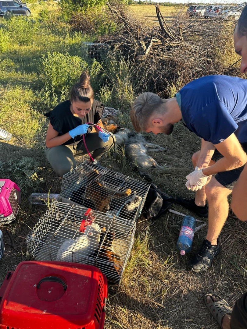 536955137_787923093604318_7897584998005728641_n