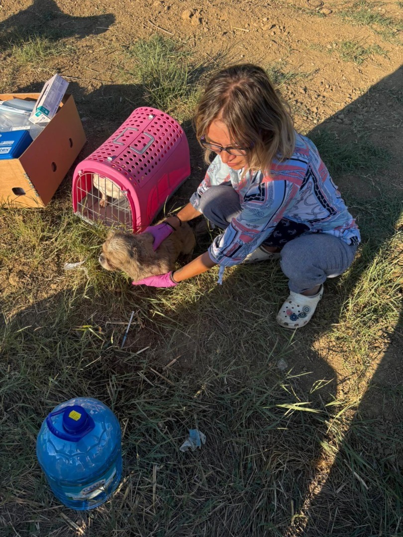 537037374_787923276937633_7045220605011164181_n