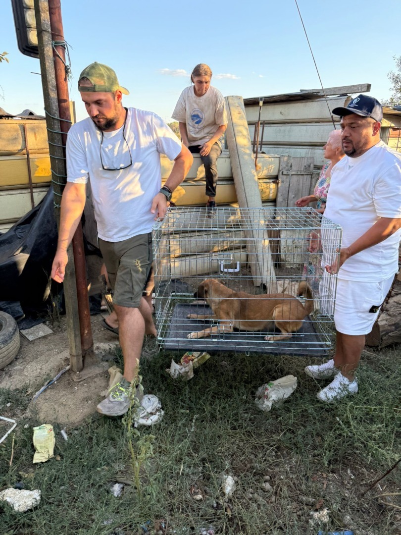 537795865_787922906937670_6318744303375148529_n