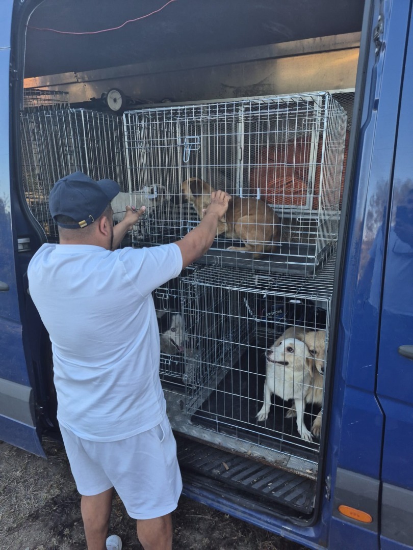 537813409_787923266937634_8107010527457297710_n