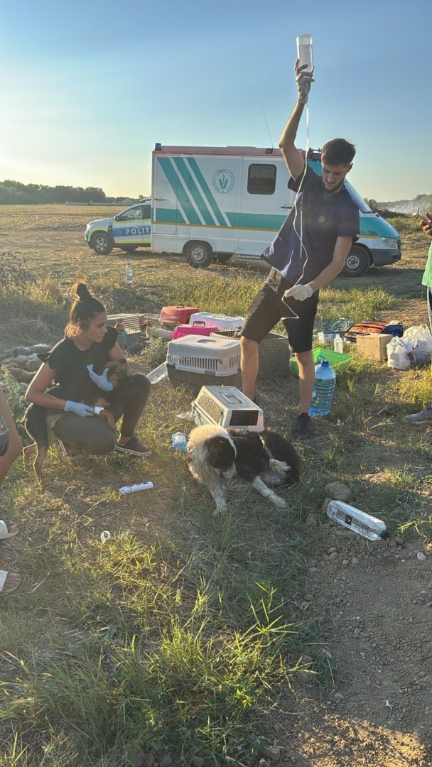 538055289_787922893604338_6824409864079577402_n